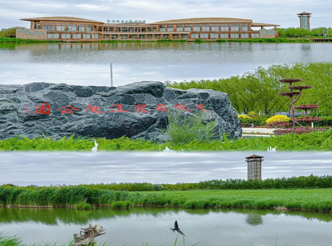 张掖湿地公园生态景观